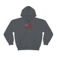 American Flag Hooded Sweatshirt